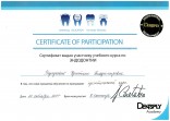 Галерея - Сертификат Барсукова